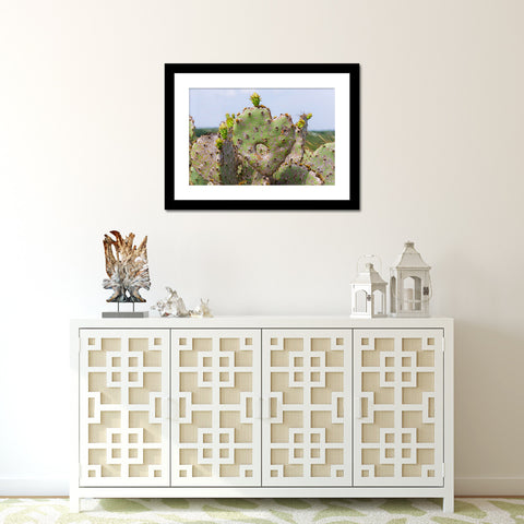Cactus Heart Fine Art Print, Southwesten Desert Photo - april bern art & photography