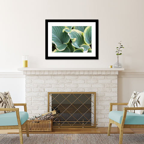 Hosta Leaves Fine Art Photography, Abstract Leaf Photo - april bern art & photography
