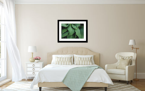 Abstact Hosta Leaves Wall Art- Green Home Decor - april bern art & photography