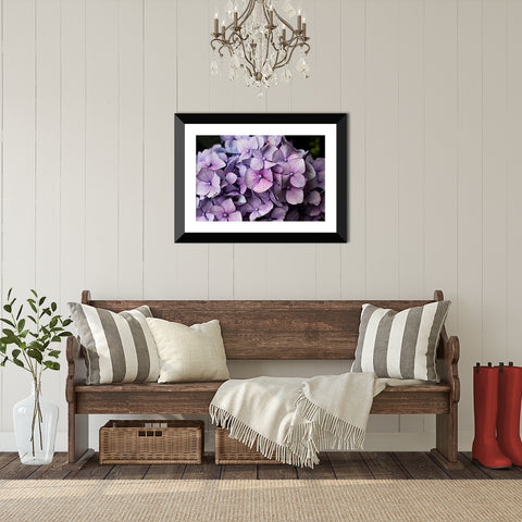 Hydrangea Art Print - april bern art & photography