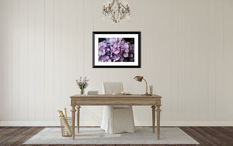 Hydrangea Art Print - april bern art & photography