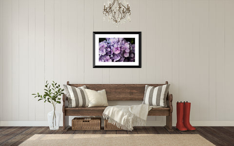 Hydrangea Art Print - april bern art & photography