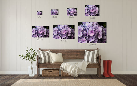 Hydrangea Art Print - april bern art & photography