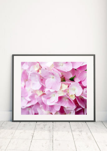 Printable Pink Hydrangea Wall Art - Instant Download - april bern photography