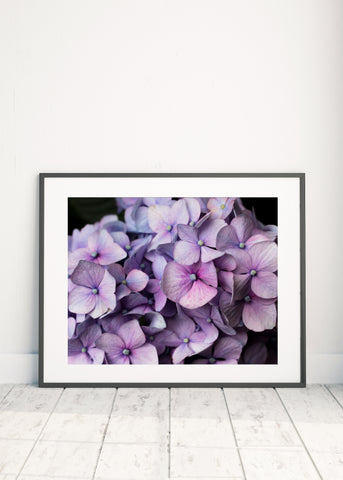 Printable Hydrangea Wall Art - Instant Download - april bern photography