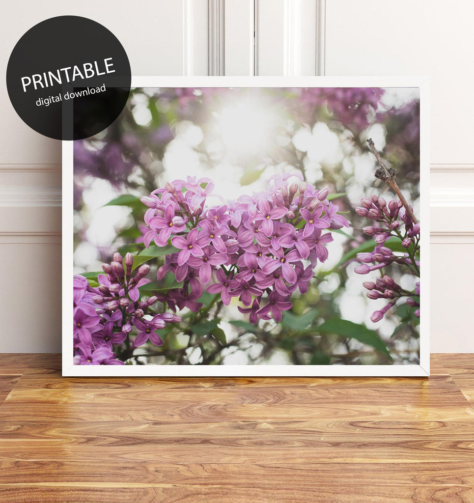 Lilac Printable Wall Art - Instant Download - april bern photography