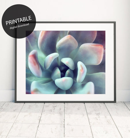 Instant Download - Succulent Printable Art