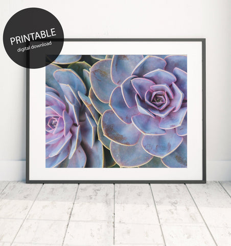 Instant Download 36"x48"- Succulent