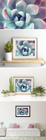 Succulent Fine Art Photography - april bern art & photography