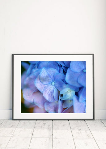 Purple Hyrangea Printable Wall Art - april bern photography