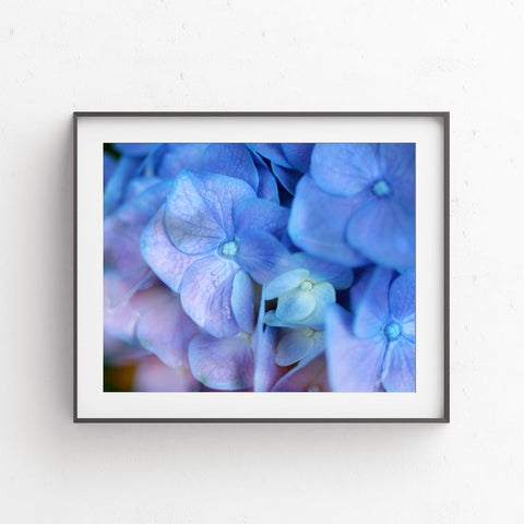 Purple Hyrangea Printable Wall Art - april bern photography