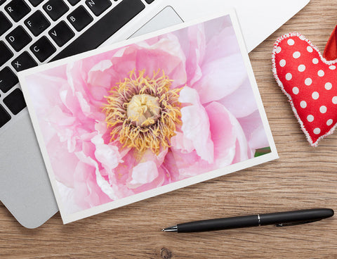 Pink Peony Photo Notecard - Blank Greeting Card - april bern art & photography