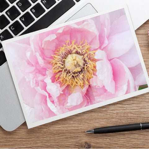 Pink Peony Photo Notecard - Blank Greeting Card