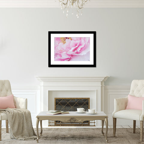 Pink Peony Art Print - Peony Photography - april bern art & photography