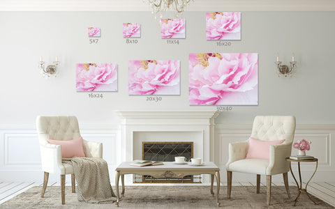Pink Peony Art Print - Peony Photography - april bern art & photography