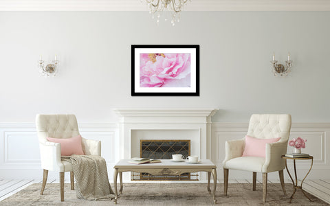 Pink Peony Art Print - Peony Photography - april bern art & photography
