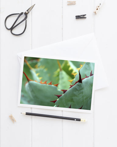 Abstract Agave Card, Succulent Photo Notecard - april bern art & photography