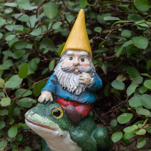Ready to Ship - 13x13 Garden Gnome & Frog Canvas Tote Bag - april bern art & photography
