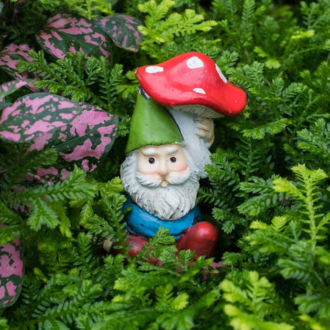 Ready to Ship - 16x16 Garden Gnome Canvas Tote Bag - april bern art & photography