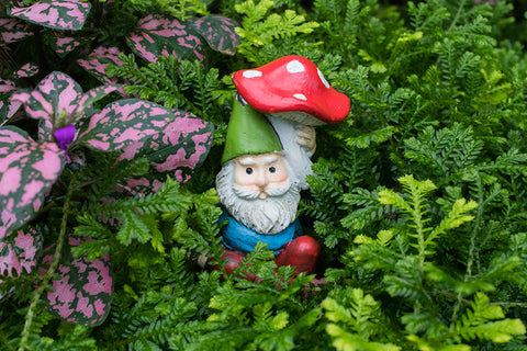 Garden Gnome Blank Greeting Card - april bern art & photography