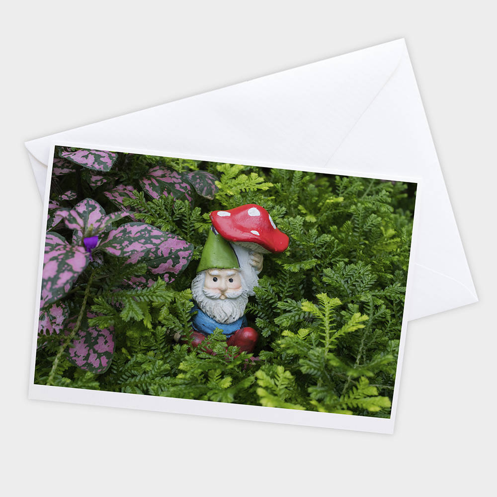 Garden Gnome Blank Greeting Card - april bern art & photography