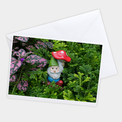 Garden Gnome Blank Greeting Card - april bern art & photography