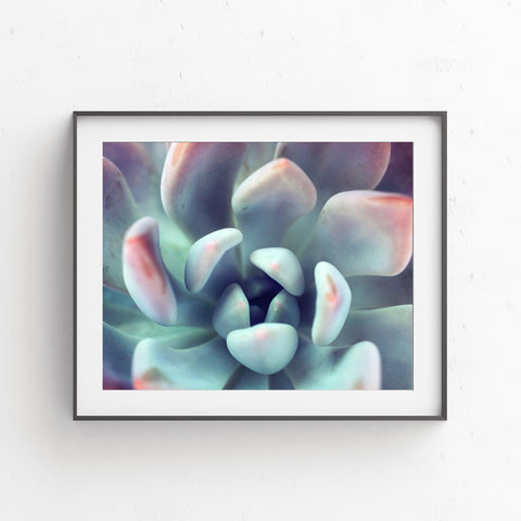 Instant Download - Succulent Printable Art - april bern photography