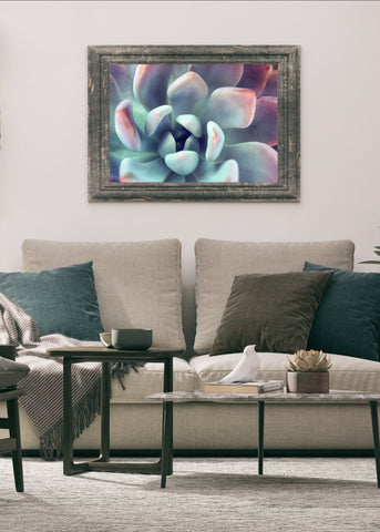 Instant Download - Succulent Printable Art - april bern photography