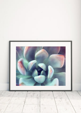 Instant Download - Succulent Printable Art - april bern photography