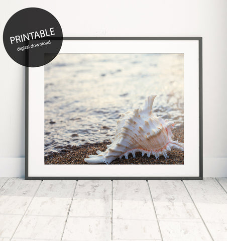 Printable Wall Art - Shell Digital Print