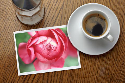 Set of 5 Assorted Floral Notecard - Any Occasion Blank Flower Greeting Cards - april bern art & photography