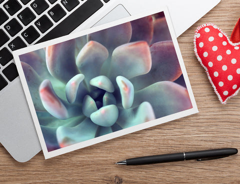Succulent Notecard, Blank Greeting Card - april bern art & photography