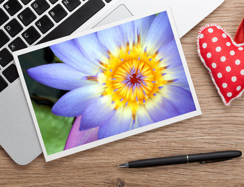 Waterlily Photo Notecard, Blank Greeting Card - april bern art & photography