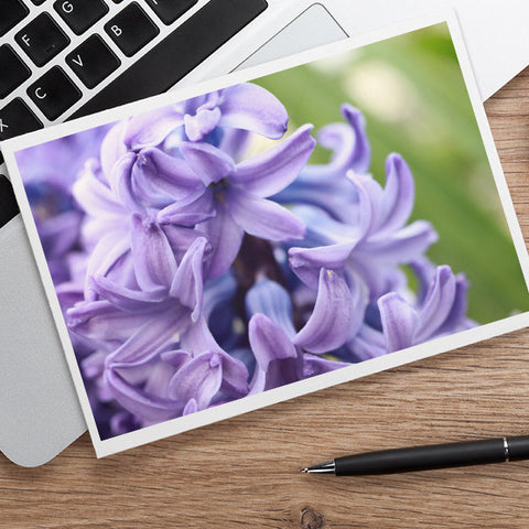 Hyacinth Photo Notecard, Spring Floral Greeting Card