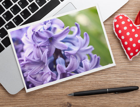 Hyacinth Photo Notecard, Spring Floral Greeting Card - april bern art & photography