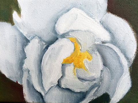 White Peony Original Oil Painting 5x7 - april bern art & photography