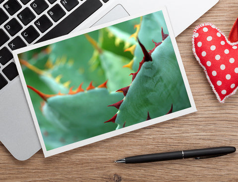 Abstract Agave Card, Succulent Photo Notecard - april bern art & photography