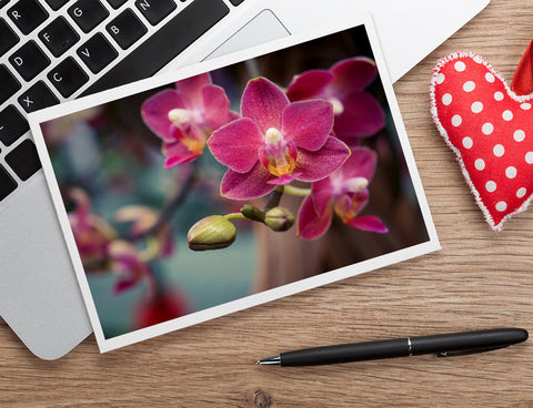 Orchid Photo Notecard, Blank Floral Greeting Card - april bern art & photography