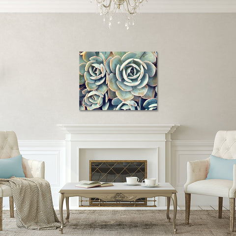 Ready to Hang Succulent Gallery Wrapped Canvas- Succulent Wall Decor