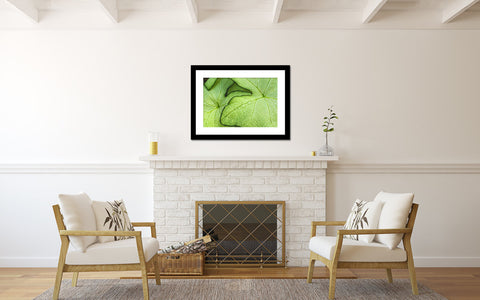 Tropical Green Leaf Botanical Art - april bern art & photography