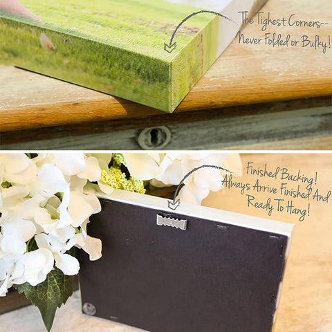 Peony Gallery Wrap Canvas - Ready to Hand Floral Canvas Art - april bern art & photography