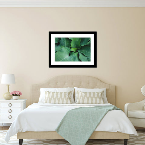Hosta Leaves Fine Art Print, Green Wall Art, Hosta Photograph - april bern art & photography