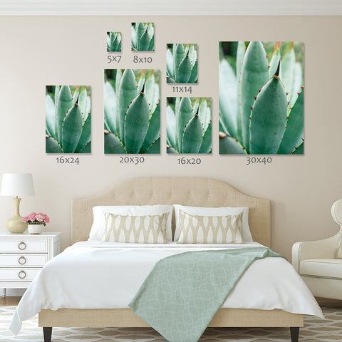 Set of 3 Agave Prints - Succulent Gallery Wall Art - april bern art & photography