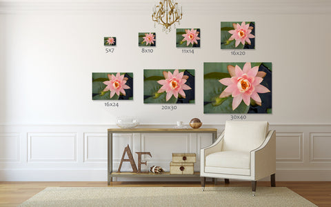 Waterlily Gallery Wrapped Canvas - Ready to Hang Floral Canvas Art - april bern art & photography