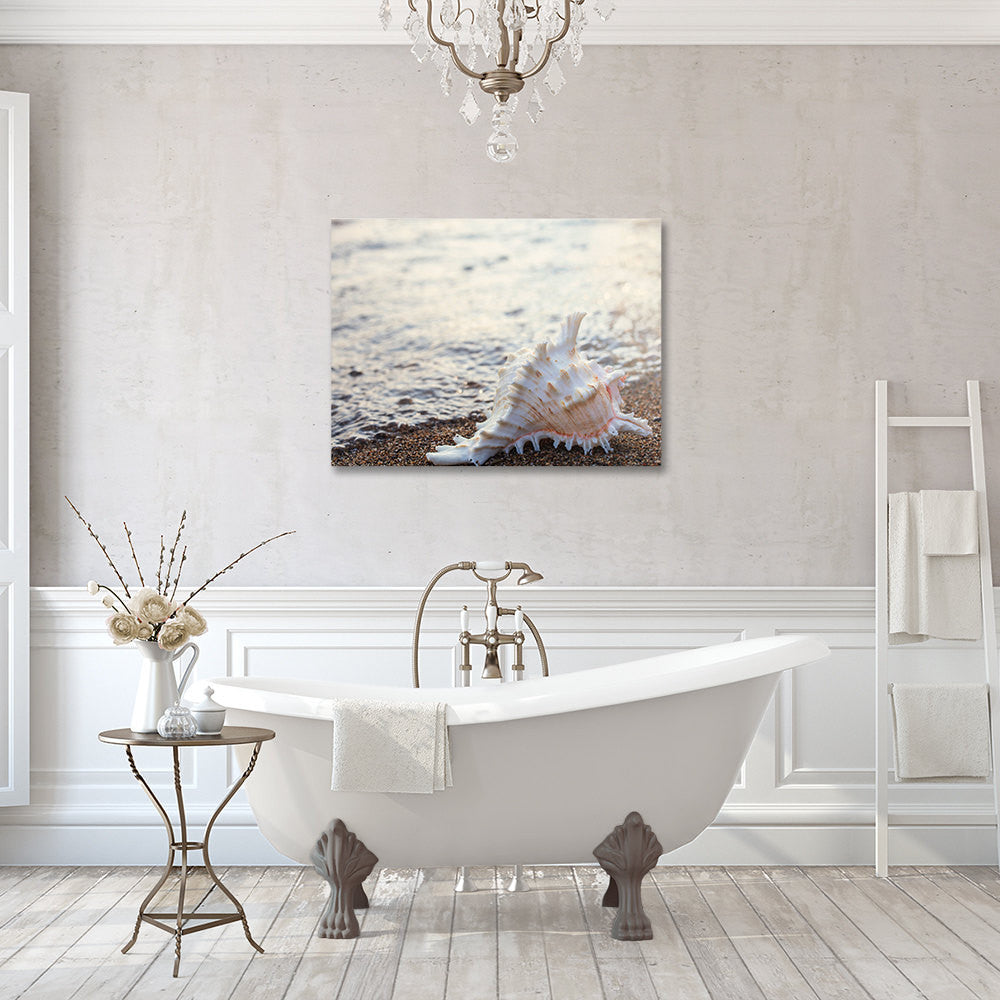 Seashell Gallery Wrapped Canvas - Ready to Hang Canvas Art - april bern art & photography