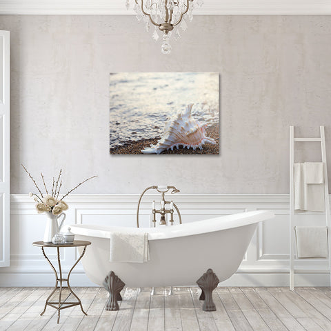 Seashell Gallery Wrapped Canvas - Ready to Hang Canvas Art