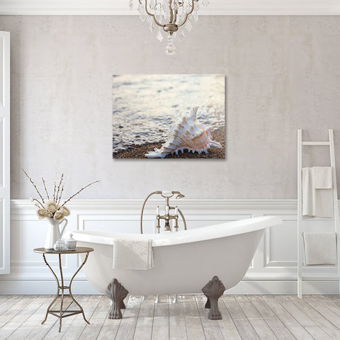 Seashell Gallery Wrapped Canvas - Ready to Hang Canvas Art - april bern art & photography