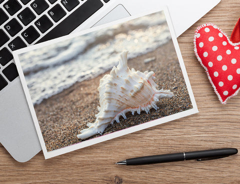 Seashell Photo Notecard - Blank Seashell Card - april bern art & photography