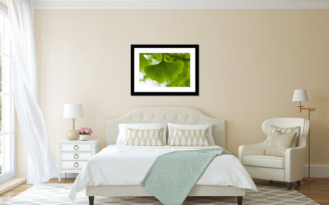 Ginkgo Tree Photograph, Ginkgo Leaf Photo - april bern art & photography