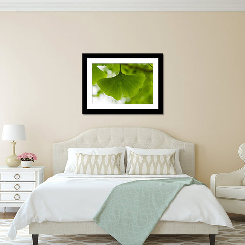 Ginkgo Tree Photograph, Ginkgo Leaf Photo - april bern art & photography